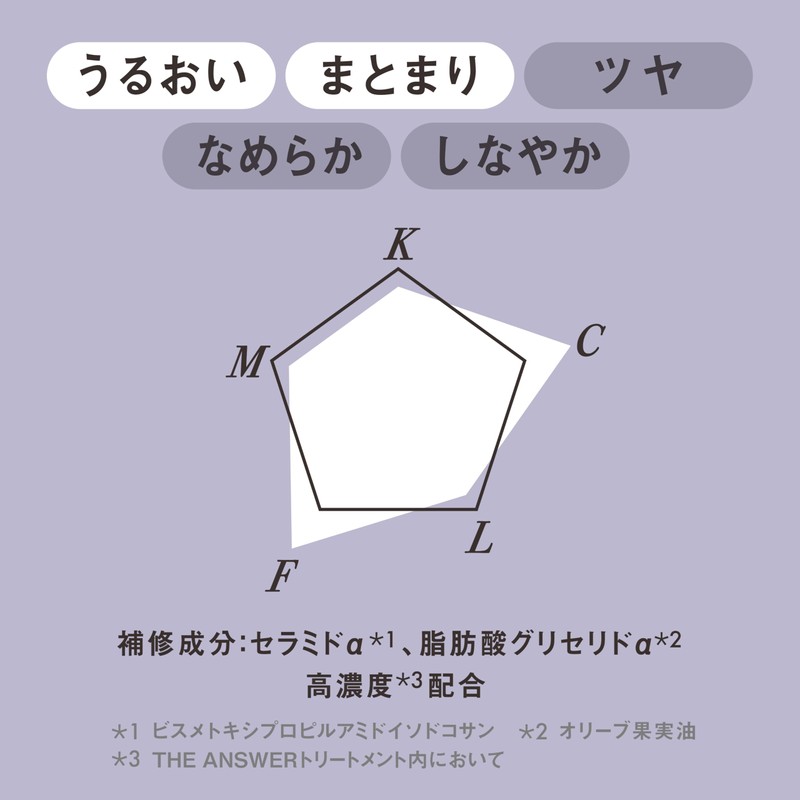 【THE ANSWER】 EX Moist Treatment FOR DAILY DAMAGE (Moisture, Manageability)