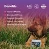 Integricare Muscle and Joint Supplement for Pets - Hip and