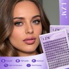 LZM Wispy Cluster Lashes Kit 10-13mm Individual Eyelashes C Curl