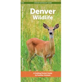 Denver Wildlife: A Folding Pocket Guide to Familiar Animals (A Pocket Naturalist Guide)