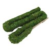 Natural Moss Pole Bendable Moss Plant Rod Plant Climbing Gardening