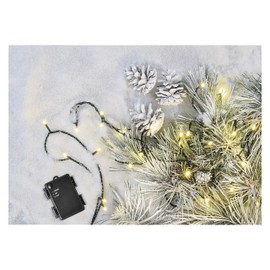 EMOS Warmweiße LED-Lichterkette 5, 6 Meter, Schwarzer Draht mit 80 LEDs, 6/18 h Timer-Funktion, Batteriebetrieben (3x AA), Leuchtdauer 10.000, IP44 für Innen und Außen, D4FW02