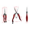 Takagi Sunflower Factory x Takagi Bud Pruning Shears 8 in