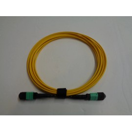 Unbranded 12-Fiber MPO Fem/Fem Single Mode Patch Cable - Type A - 7 Meter