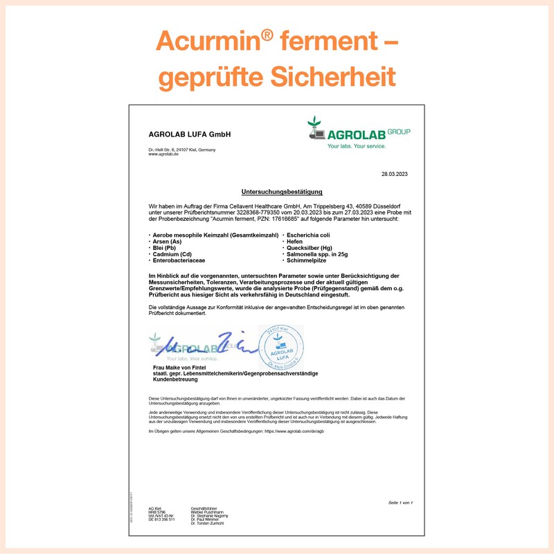 Acurmin Ferment - Organic Turmeric Powder - Fermented & Bioactive