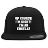 of Course I'm Right! I'm an Engels! - Structured Flat
