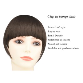 SHEDOWIG Bangs Hair Clip in Bangs HairExtensions Synthetic Flat Clip on Bangs Fringe with Temples Front Face Bangs Hair Clip for Women Off Tan Brown