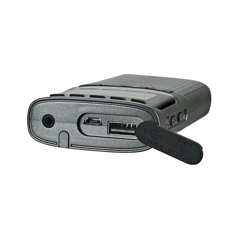 WINTECH EMR-700 AM/FM Portable Digital Radio with Disaster Prevention, Gun