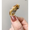 Lemon + Poppy Pretzel Bites (7 oz. bags - 4