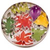 Städter 023338 Cookie Cutter 7 Leaves Tin Plate