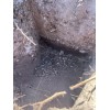 TEXAS DIRT - Top / Ground Soil - For Texans