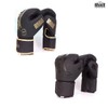 Brave Power training boxing gloves for boxing practice / 파워 트레이닝 복싱 글러브 권투 연습용