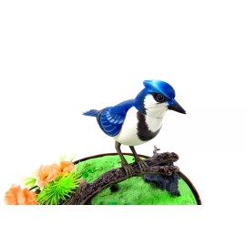 Dusky Shark Realistic Singing & Chirping Bird in Cage with Lifelike Sounds and - Blue Jays