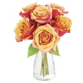KaBloom Flowers - Valentine Collection - Bouquet of 6 Fresh Cut Orange Roses (Farm-Fresh, Long-Stem) with Vase. Gift for Birthday, Anniversary, Valentine, Mother’s Day Fresh Flowers