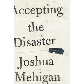 Accepting the Disaster: Poems