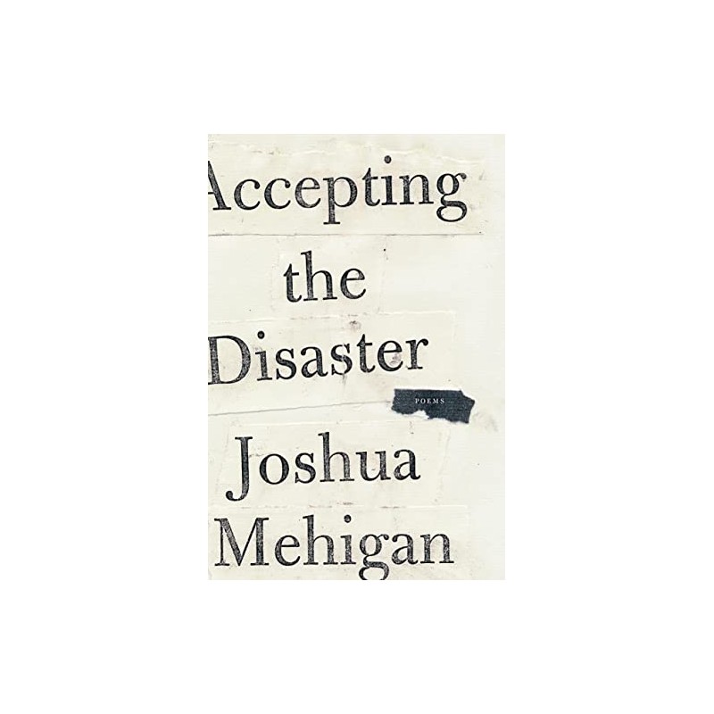 Accepting the Disaster: Poems