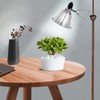 EP Clamp Lamp Light with Detachable 5.5 Inch Aluminum Reflector,