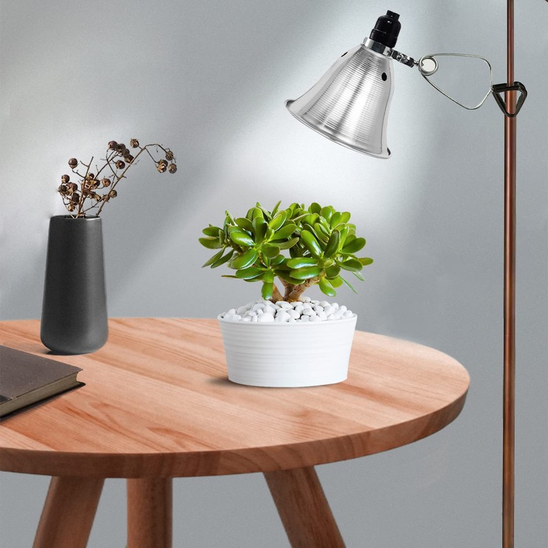 EP Clamp Lamp Light with Detachable 5.5 Inch Aluminum Reflector,