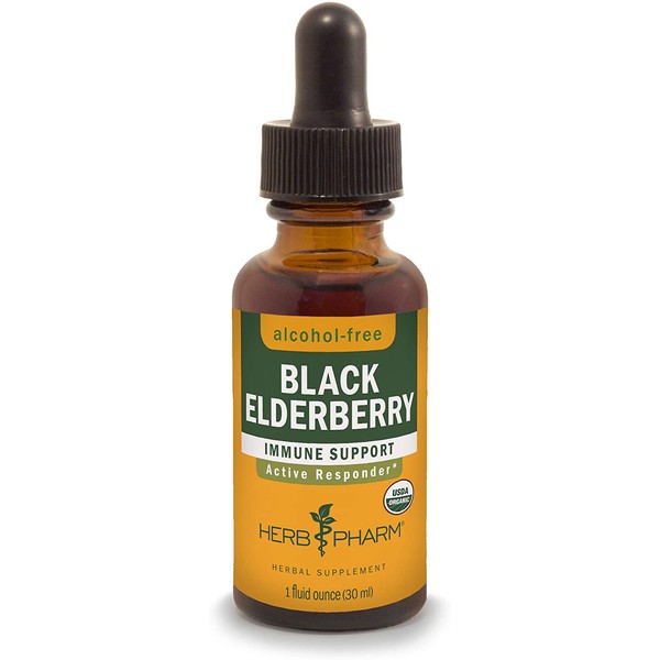 Herb Pharm Certified Organic Black Elderberry Liquid Extract for Immune System Support, Alcohol-Free Glycerite, 1 Ounce