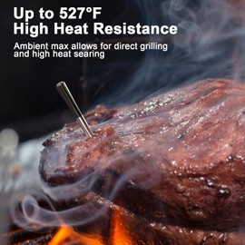 700FT Bluetooth Meat Thermometer, 5.5mm Ultra-Thin Probe Wireless Food Thermometer with Dual Temp Monitor for Steak, Pork, Turkey, BBQ, Oven, Grill and Smoker Cooking (White)