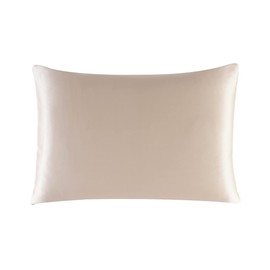 townssilk 100% 19 Momme Pure Mulberry Silk Pillowcase for Skin and Hair with Hidden Zipper 600 Thread Count Taupe