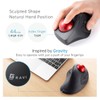 SANWA Wired Ergonomic Trackball Mouse, Optical Rollerball Mice, Programmable Silent
