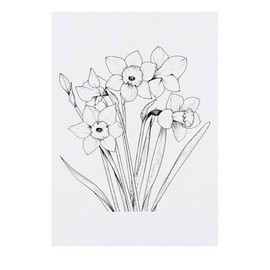 ' Boquet of Daffodils' Temporary Tattoo - Water Resistant, Skin-Safe, Non-Toxic Transfer (TO00076429)