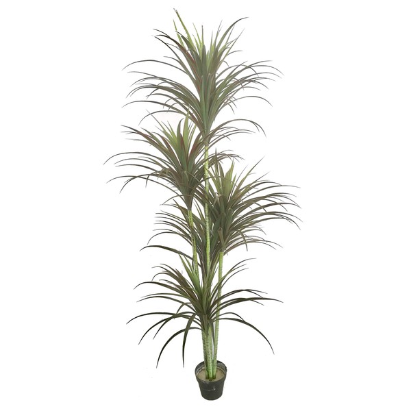 AMERIQUE Gorgeous & Unique 6 Feet Five Head Yucca Artificial Plant Tree with 151 Leaves, Feel Real Technology, Green (Model: MB5516D6P)