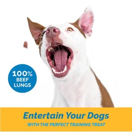 123 Treats Beef Lung Dog Tips Treat - All Natural Premium Jerky Chews for your Dog (Beef Treats - Made in USA) 8 oz
