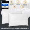 LILENO HOME Pillows as Cushion Filling, Bed or Decorative Sofa