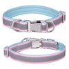 haoyueer Reflective Nylon Dog Collar with Safety Buckle, Adjustable Pet