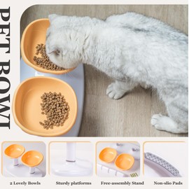 Elevated Tilted Cat Bowls, Adjustable Heights Raised 15°Tilted Pet Stand, Cat Bowls for Indoor Cat, Double Cat Food and Water Bowls Set for Cat and Puppy (Orange)