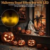 2 Pack Halloween Sound Effects Box with LED, Battery Powered