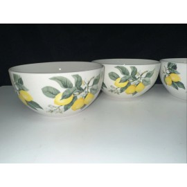 Royal Norfolk NEW!  SET OF 4-Royal Norfolk Lemon Summer Stoneware Cereal Bowls FREE SHIPPING