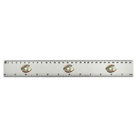 'Pearl In Oyster Shell' 30cm (12 Inch) White Plastic Ruler (RL00087564)