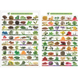 Fenugreek Oil (Trigonella foenum) Essential Oil 100% Pure & Natural - Undiluted Uncut Cold Pressed Aromatherapy Premium Oil - Therapeutic Grade - 15 ML Dropper