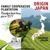 ORIGEENS Organic Japanese Matcha Tea - Single Origin Shizuoka -