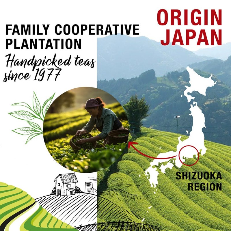 ORIGEENS Organic Japanese Matcha Tea - Single Origin Shizuoka -