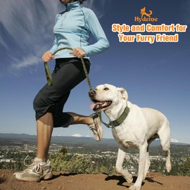 HYDEME Tactical Dog Collar Adjustable Nylon Collar with Control Handle and Heavy Metal Buckle for Medium and Large Dogs, with Patches&Airtags Case&Poop Bag Dispenser&Portable Bowl. (M, Green-Set)