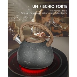 Poliviar modern induction kettle, stainless steel whistling kettle, tea kettle for all hobs, whistling kettle with wooden handle, kettle for tea & coffee, max. 3L, Stone-like, (Jx2018-GR20-DE)