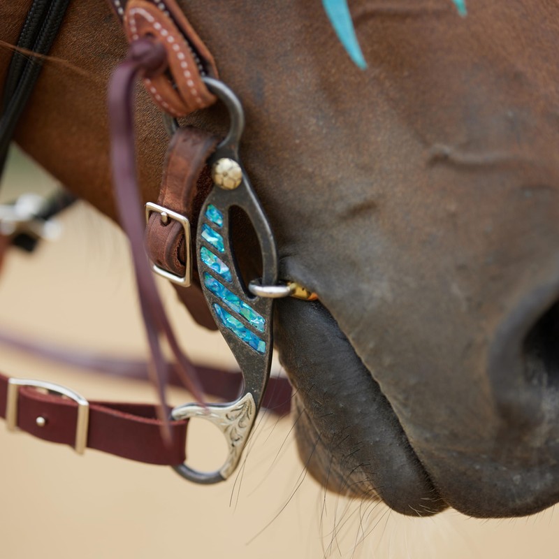 Cowboy Tack Turquoise Smooth Snaffle Gag Bit
