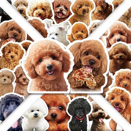 Pack of 50 Poodle Stickers for Skateboard, Laptop, Bicycle, Suitcase, Car, Fridge, Motorcycle, Cartoon Poodle Waterproof Stickers, Children Adults Gift, Cute Aesthetic Animal Dog Graffiti Stickers