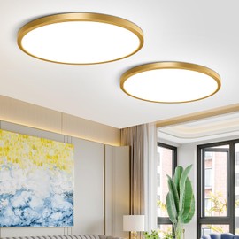 2 Pack 12Inch Gold LED Ceiling Light Fixture Flush Mount, 24W(240W Equivalent), 3200LM, 5000K Daylight White, IP40, Flat Modern Round Ceiling Light for Bedrooms, Living Rooms, Bathrooms, Kitchens, etc