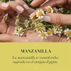 Shampoo Herbal Essences Manzanilla & Pasiflora Brillo para el Cabello
