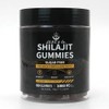 Shilajit Gummies – Sugar-Free, 1000mg, Natural Fruit Flavor