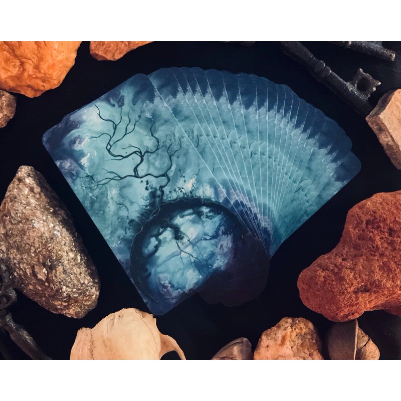 Shadow Journey Tarot - 78 Card Tarot Deck Featuring Dark,