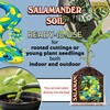 FoxFarm Salamander Soil Potting Mix, 1.5cu ft - Watering Holding