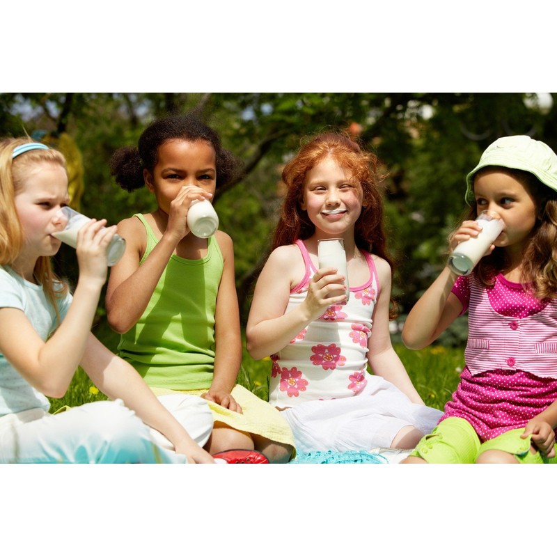 Kefir Starter Culture - Pack of 3 Freeze Dried Sachets