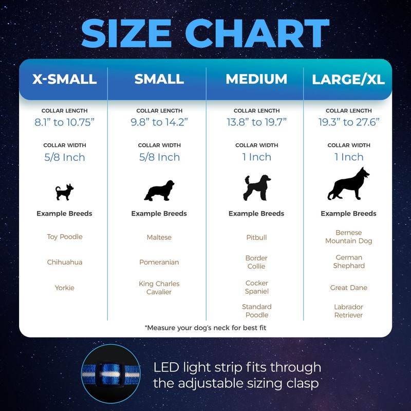 Blazin Light Up Dog Collar - The Original LED Dog