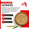 Morning Bird Paddy Rice Bird Seed for Optimal Health &